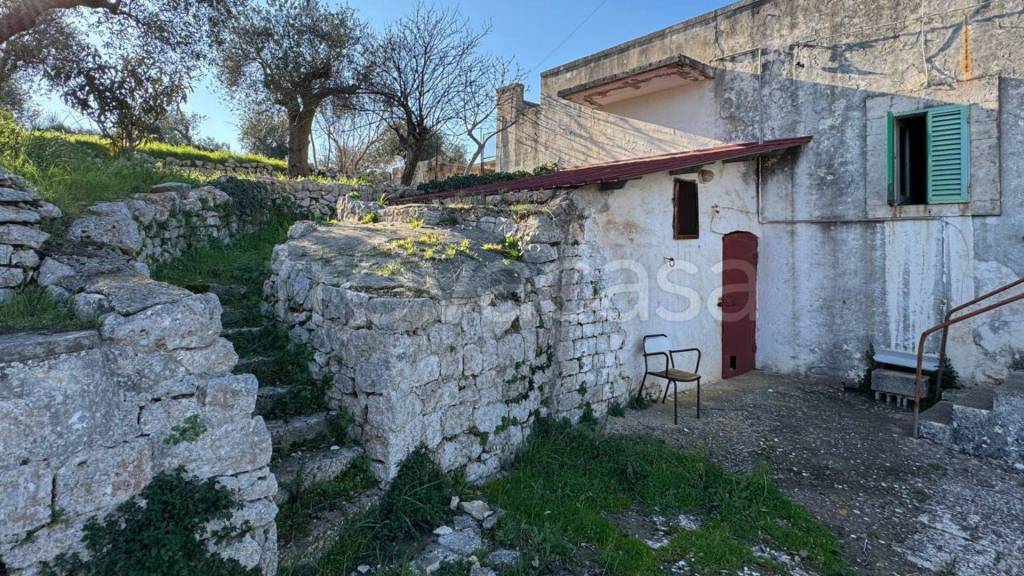 immagine annuncio 3 di 14