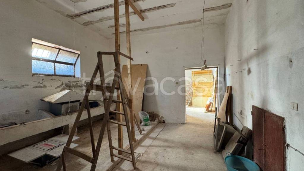 immagine annuncio 10 di 14