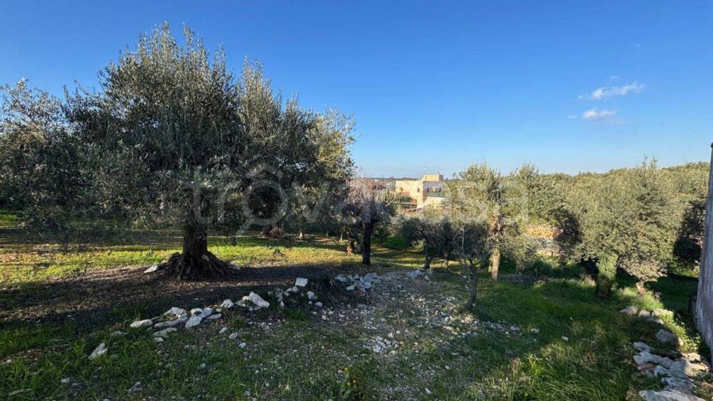 immagine annuncio 12 di 14