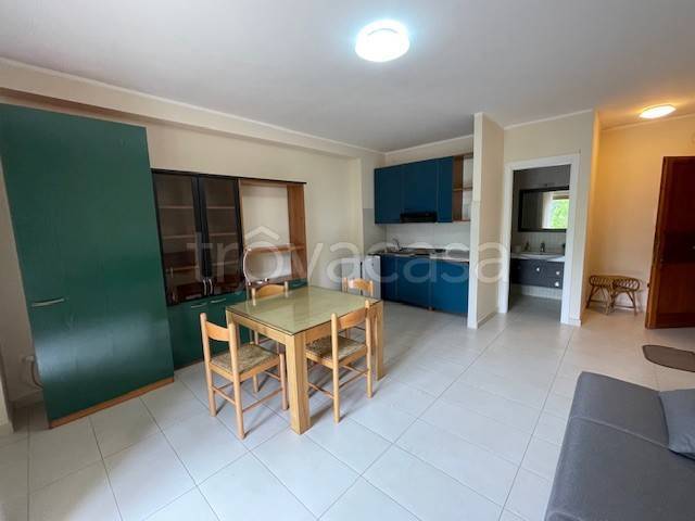 immagine annuncio 5 di 9