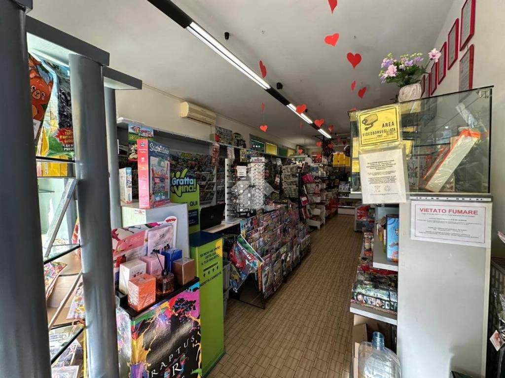 immagine annuncio 8 di 15