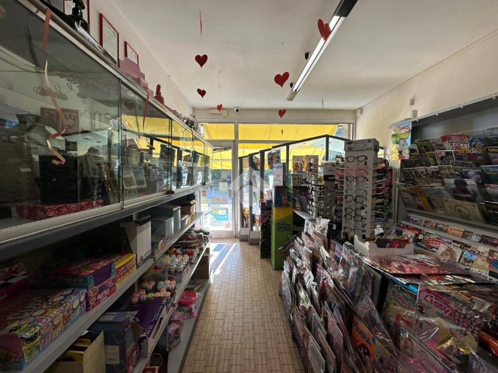 immagine annuncio 10 di 15