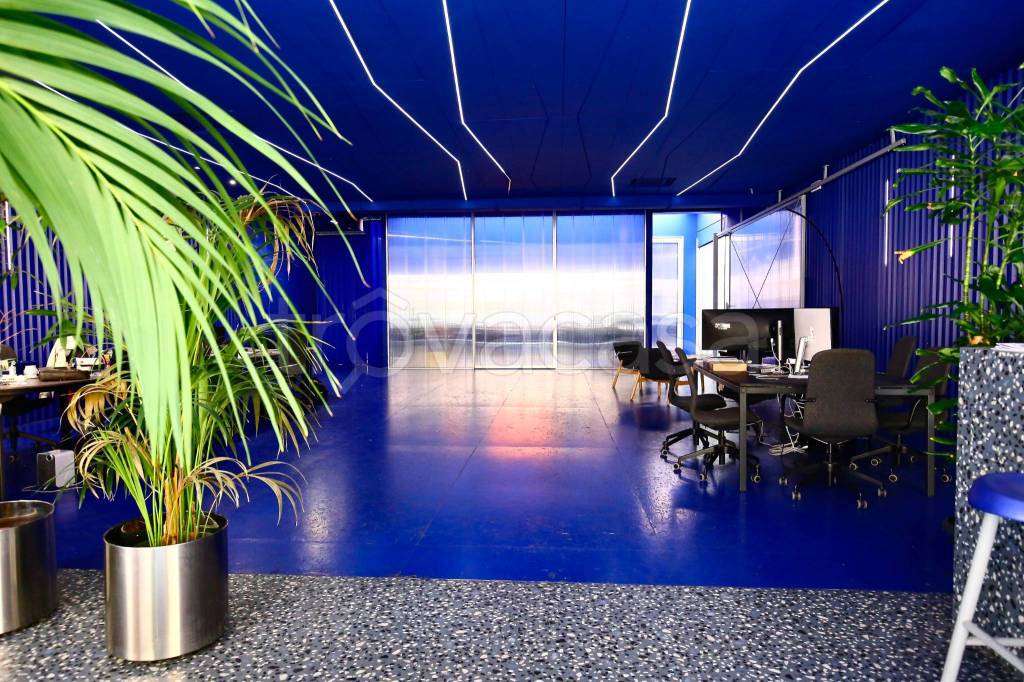 immagine annuncio 5 di 14