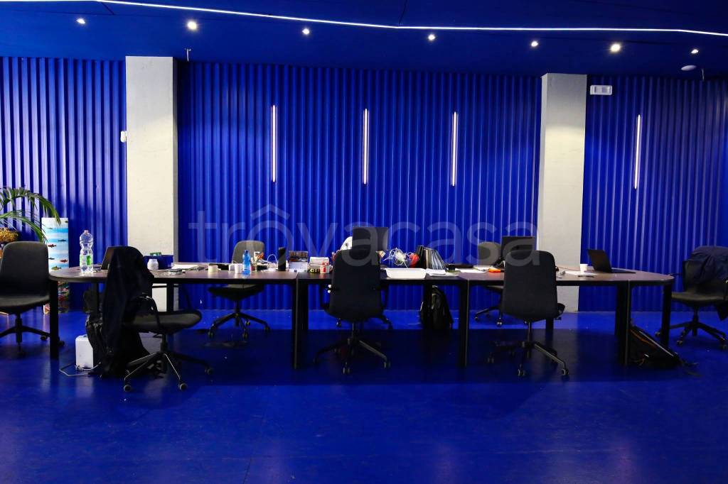 immagine annuncio 6 di 14