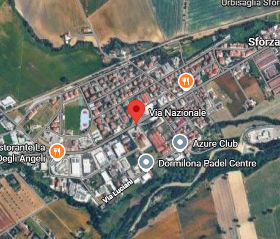 immagine annuncio 3 di 11