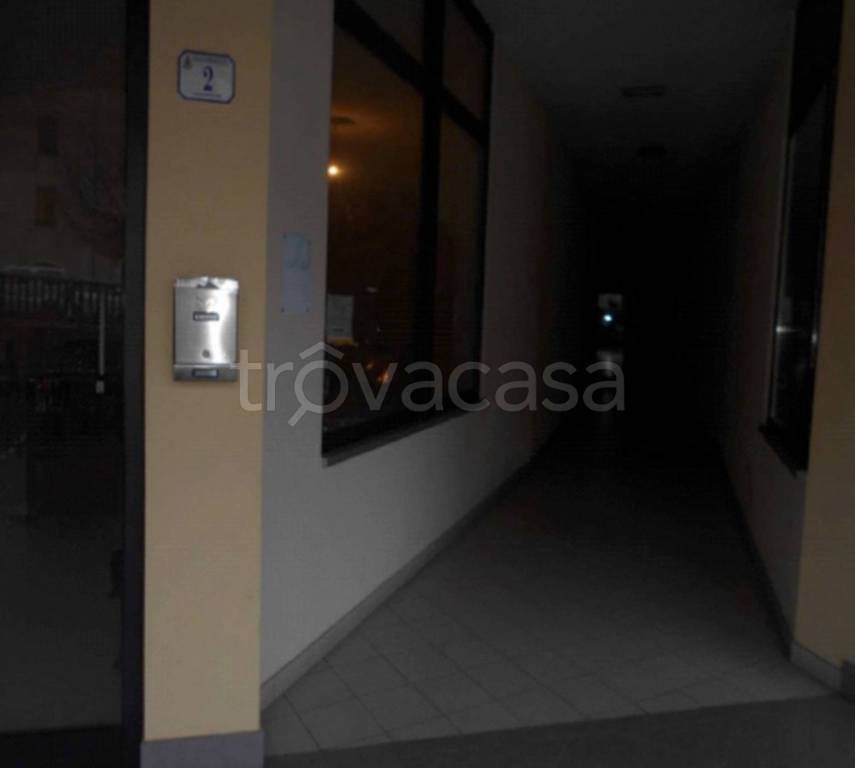 immagine annuncio 3 di 11