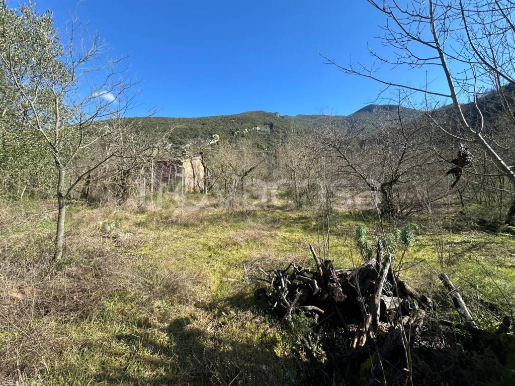 immagine annuncio 2 di 9