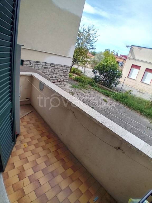 immagine annuncio 9 di 12