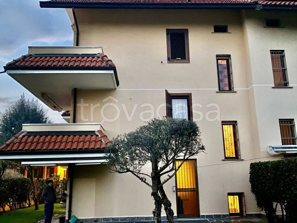 immagine annuncio 7 di 15