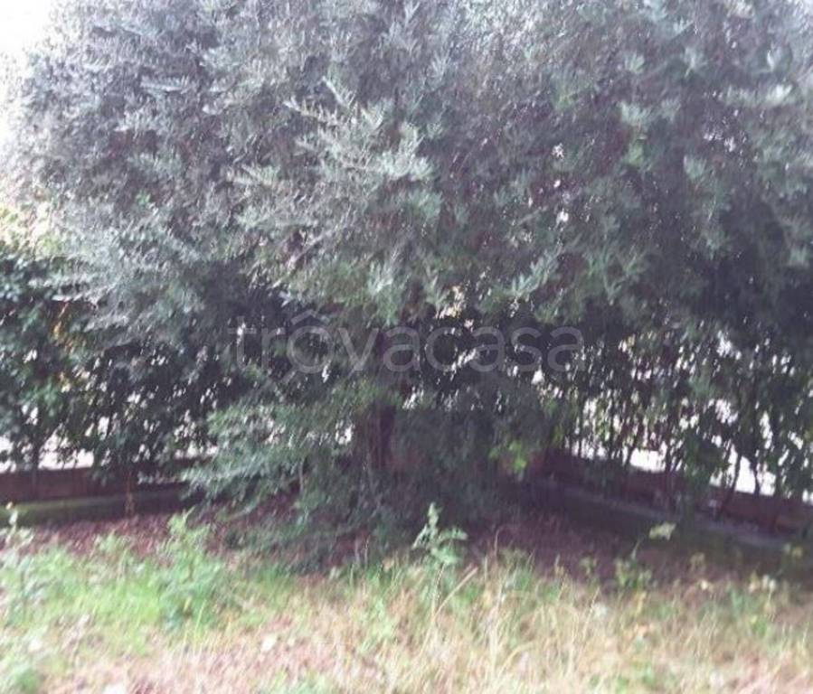 immagine annuncio 5 di 13