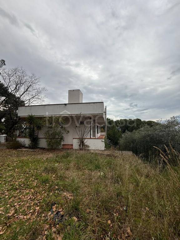 immagine annuncio 1 di 7