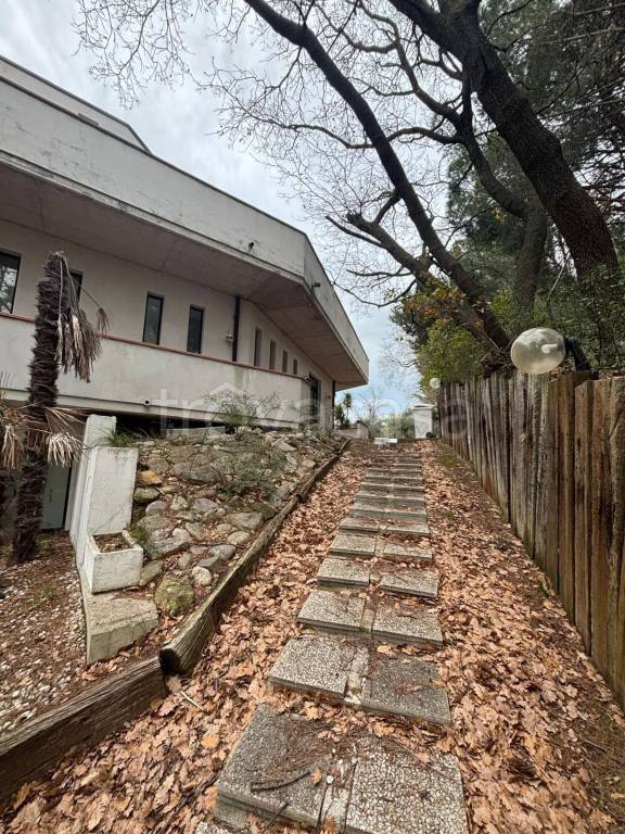 immagine annuncio 2 di 7