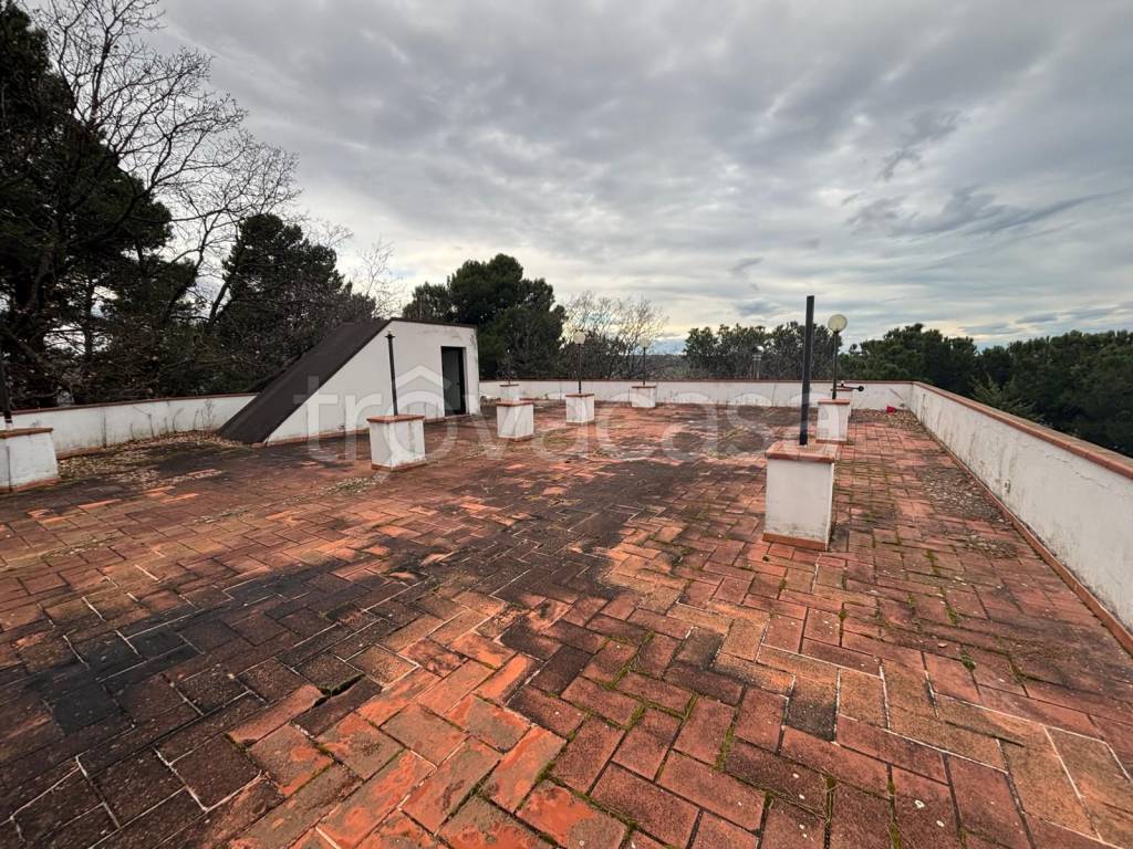 immagine annuncio 3 di 7