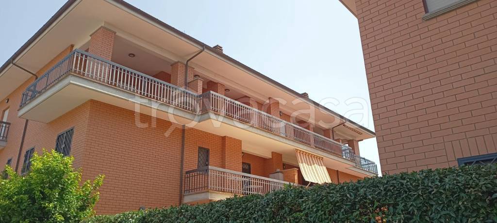 immagine annuncio 10 di 14