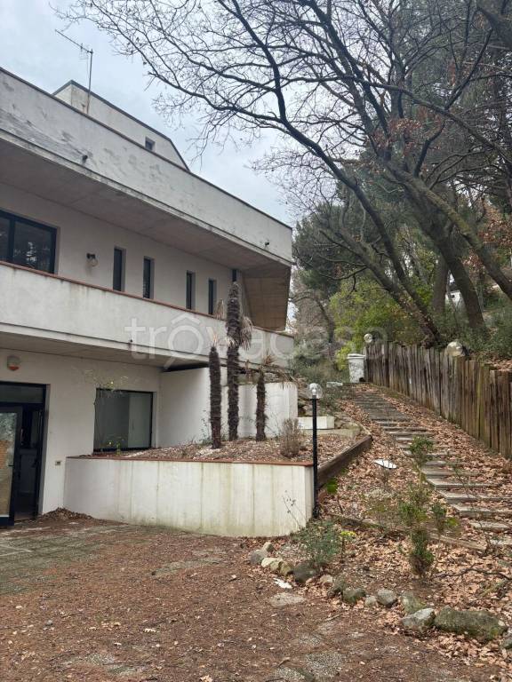 immagine annuncio 4 di 7