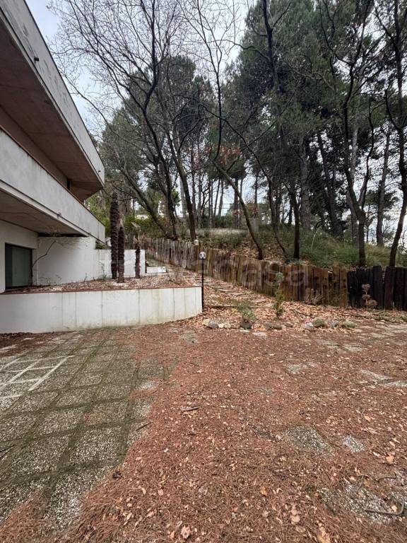 immagine annuncio 5 di 7