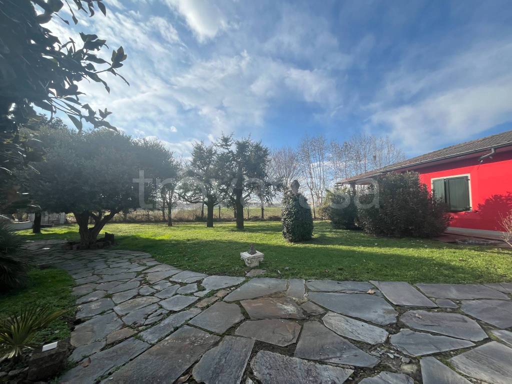 immagine annuncio 10 di 15