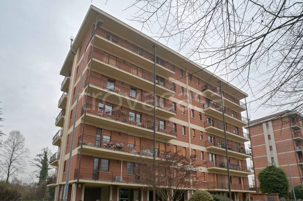 immagine annuncio 2 di 15