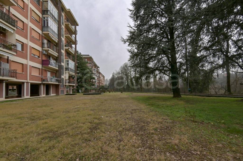 immagine annuncio 8 di 15