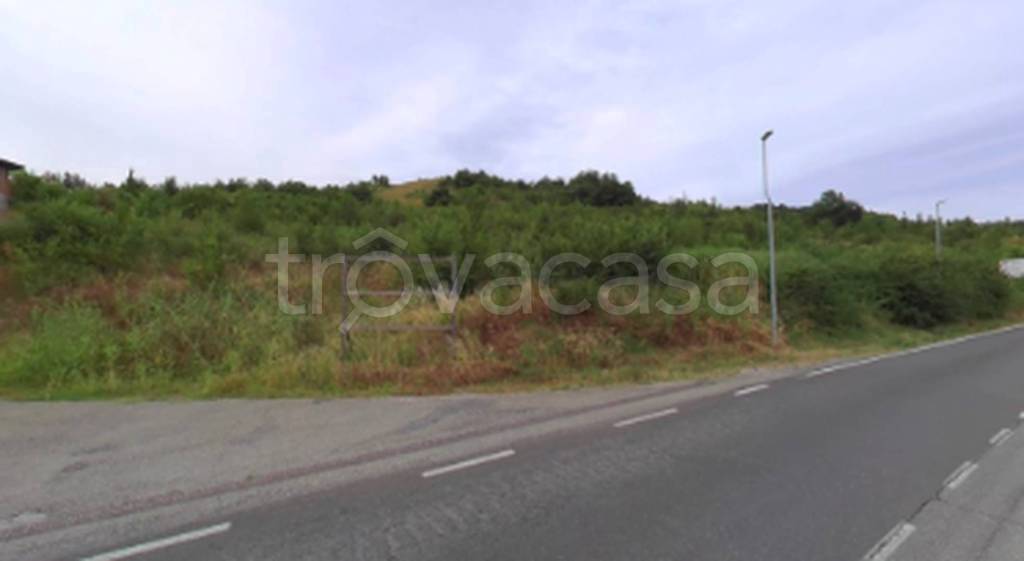 immagine annuncio 6 di 11