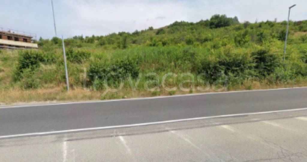 immagine annuncio 7 di 11