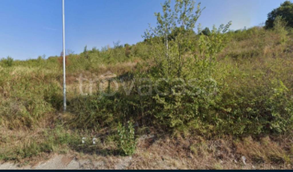 immagine annuncio 8 di 11