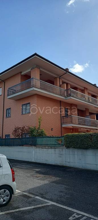 immagine annuncio 12 di 14