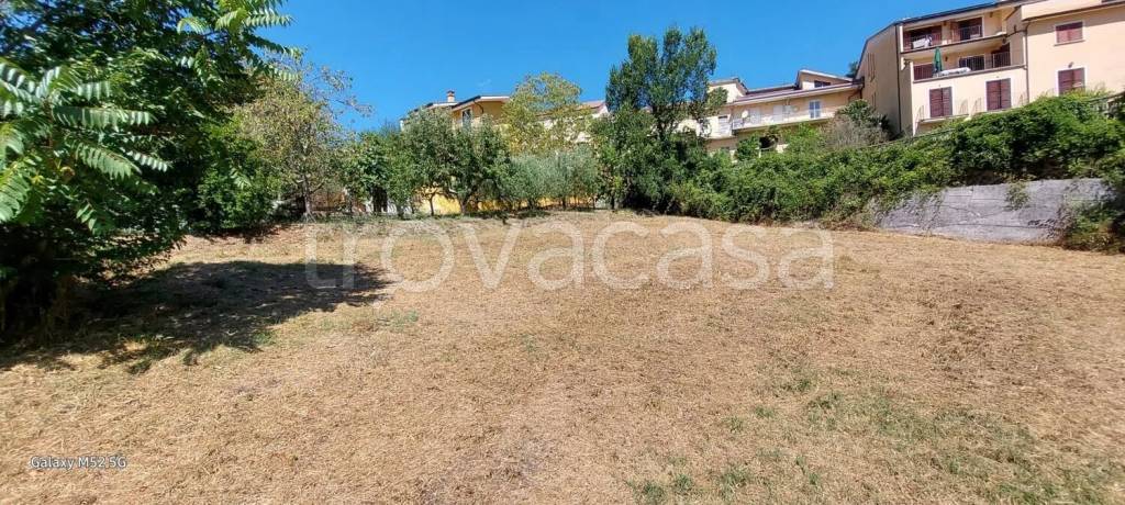 immagine annuncio 3 di 8