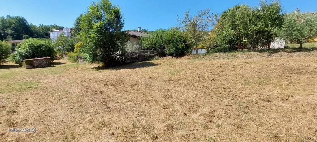 immagine annuncio 5 di 8