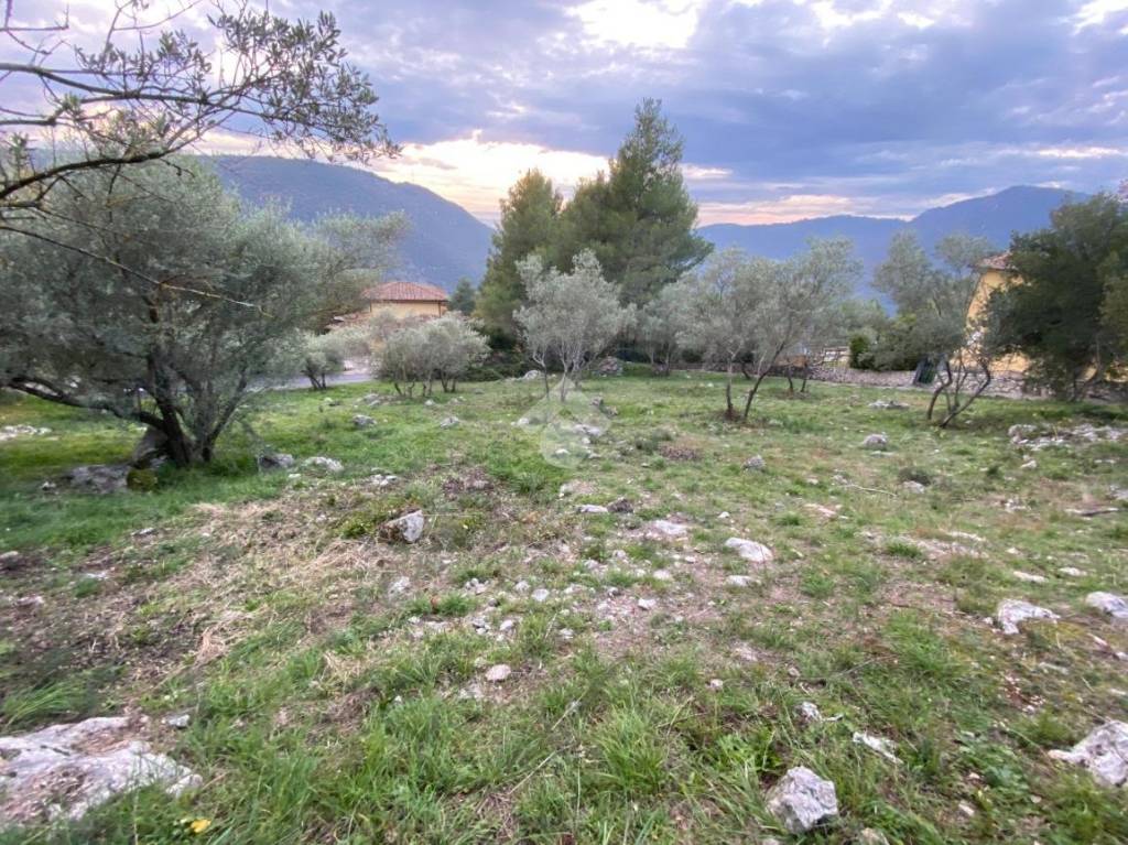 immagine annuncio 4 di 6