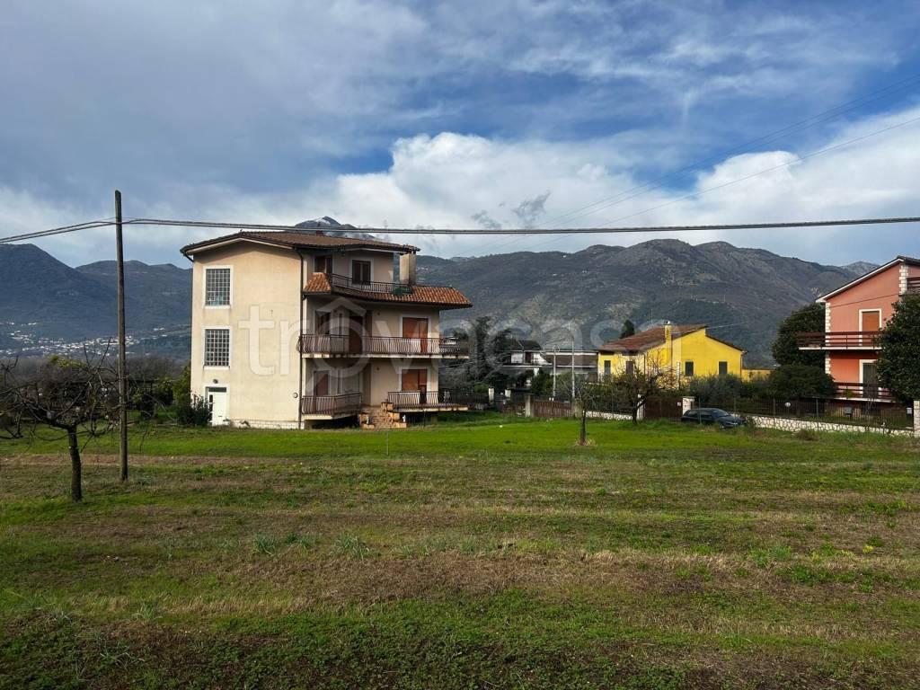 immagine annuncio 5 di 8