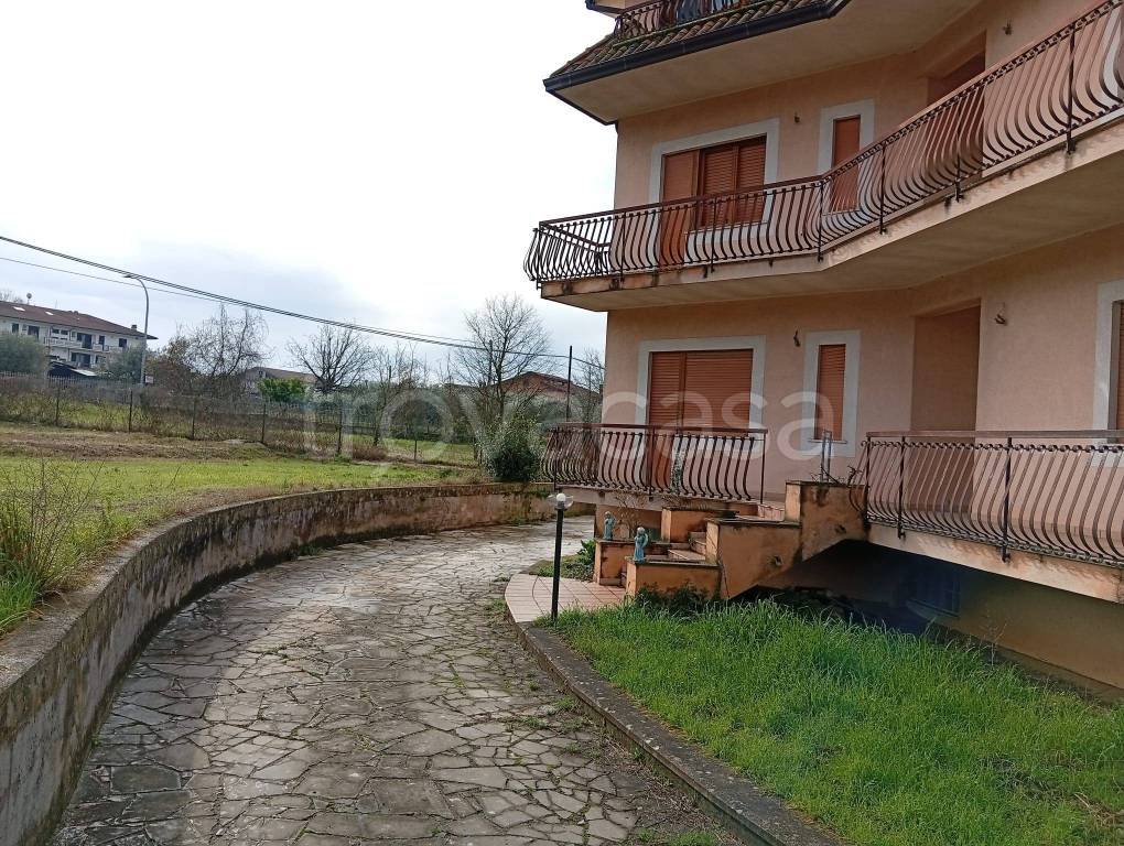 immagine annuncio 2 di 8