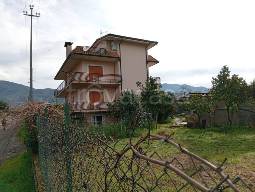 immagine annuncio 4 di 8