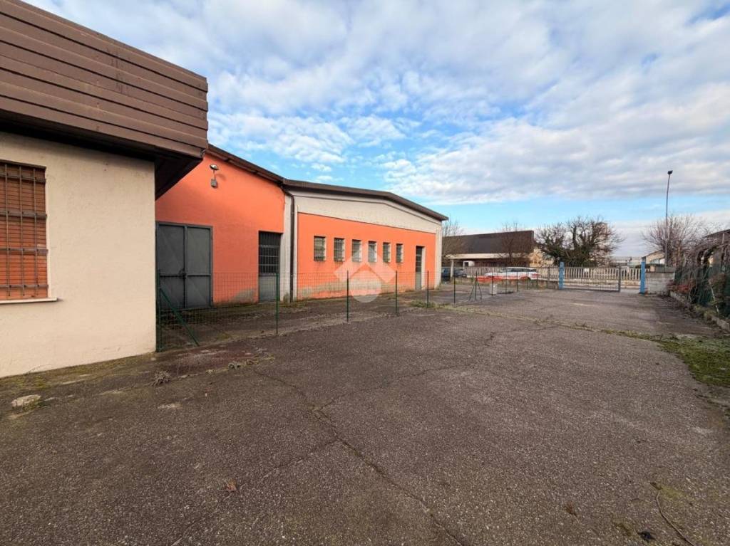 immagine annuncio 1 di 15