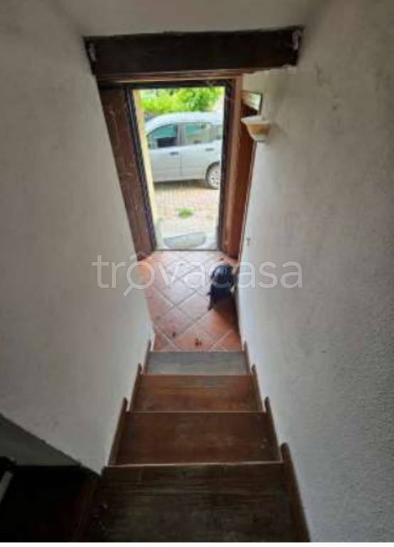 immagine annuncio 7 di 14