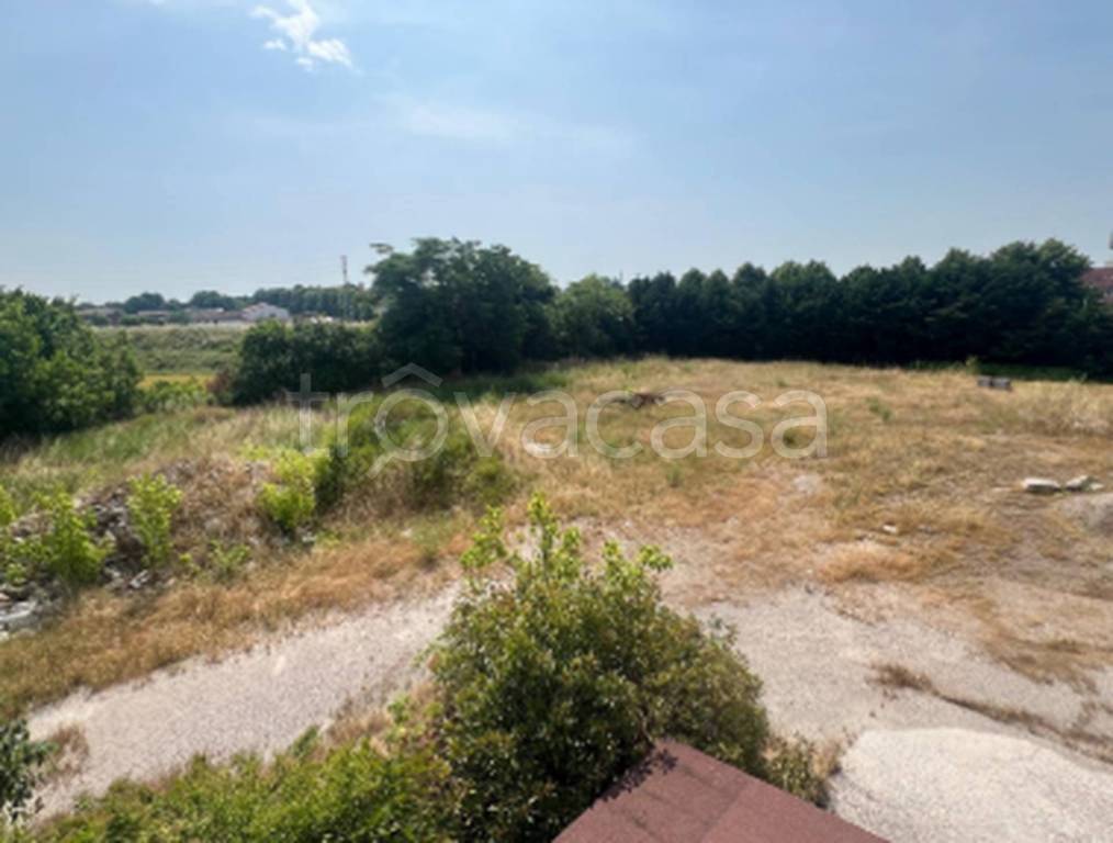 immagine annuncio 6 di 11