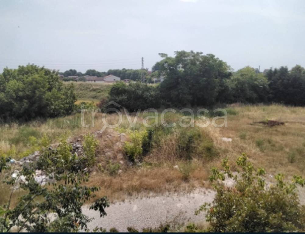 immagine annuncio 8 di 11