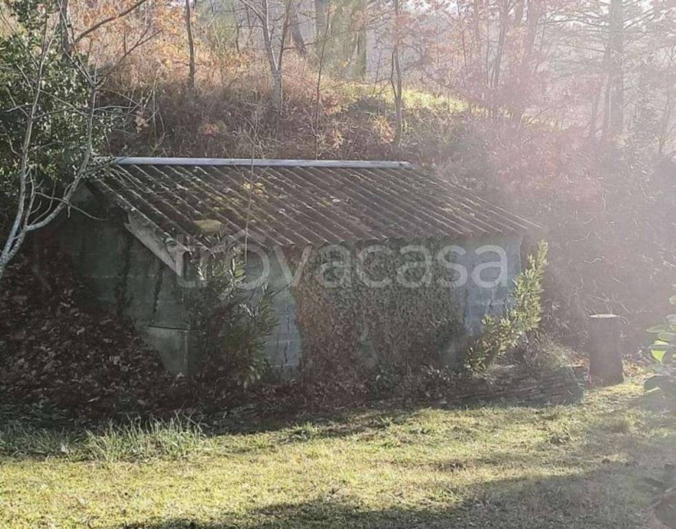 immagine annuncio 10 di 14