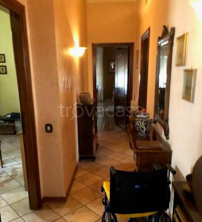 immagine annuncio 3 di 12