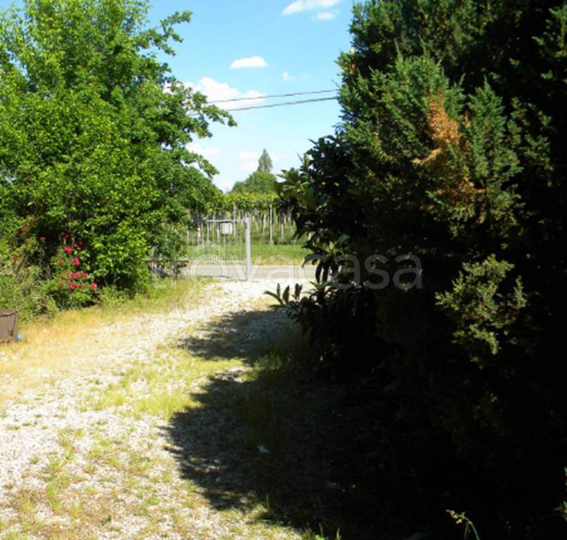 immagine annuncio 4 di 12