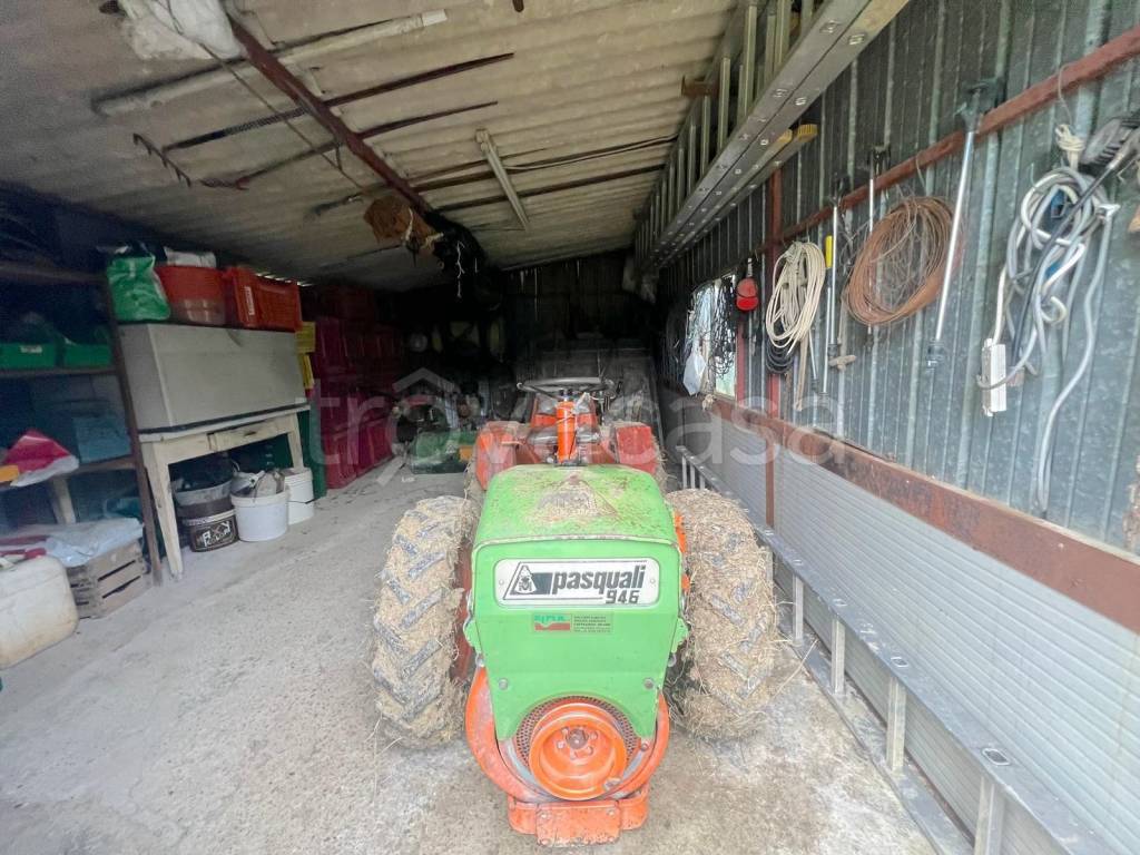 immagine annuncio 11 di 15