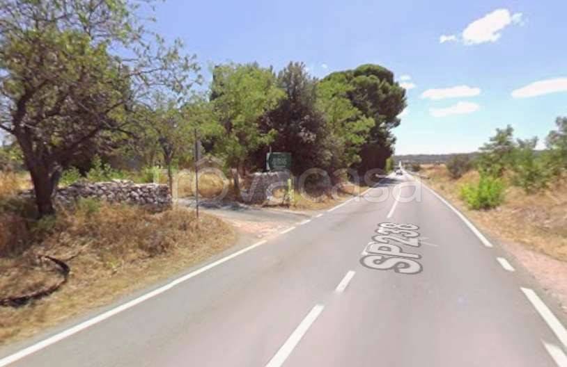 immagine annuncio 5 di 14