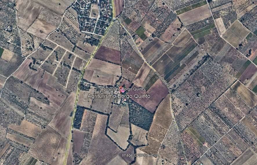 immagine annuncio 6 di 14