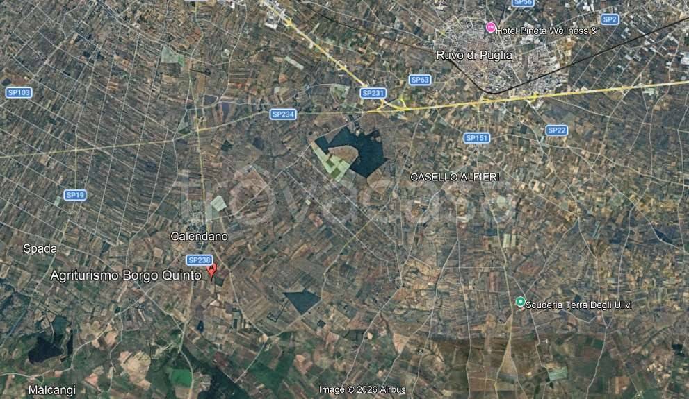 immagine annuncio 7 di 14