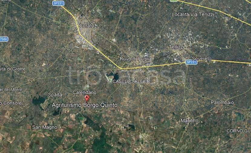 immagine annuncio 8 di 14