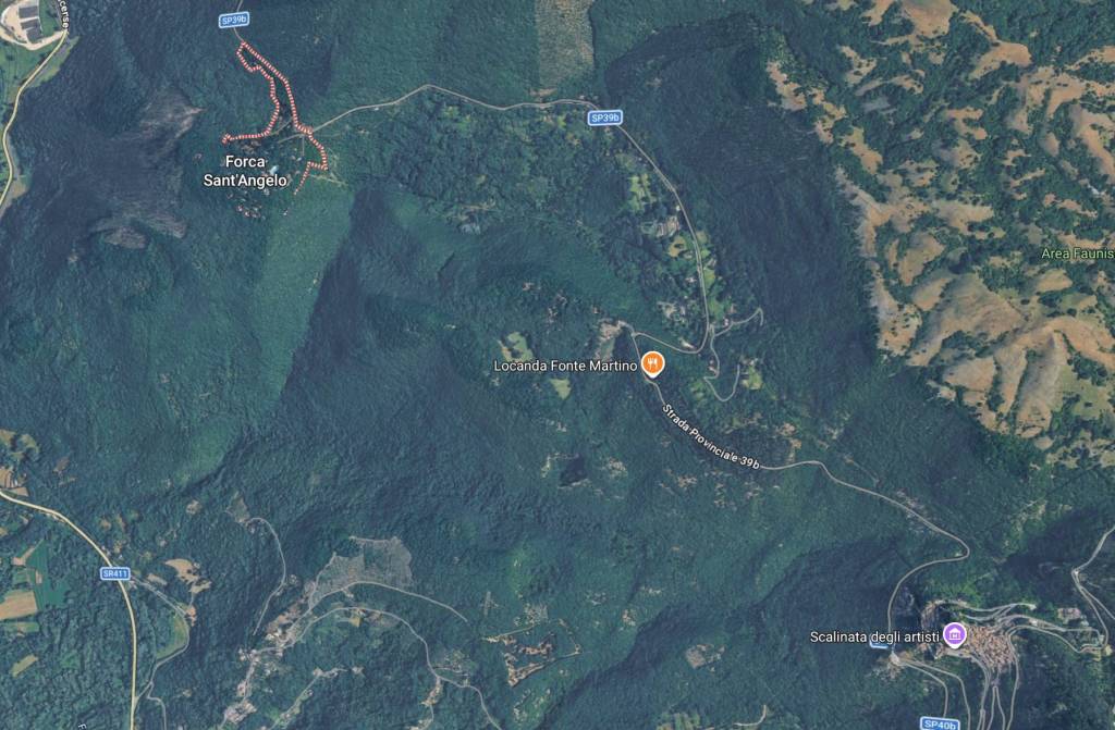 immagine annuncio 9 di 10