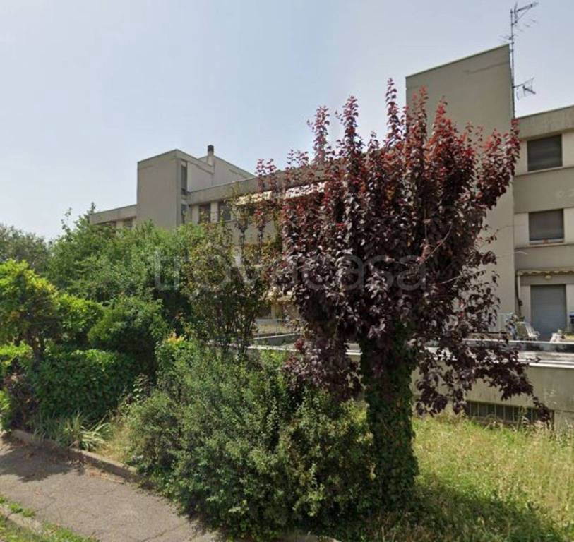 immagine annuncio 7 di 11