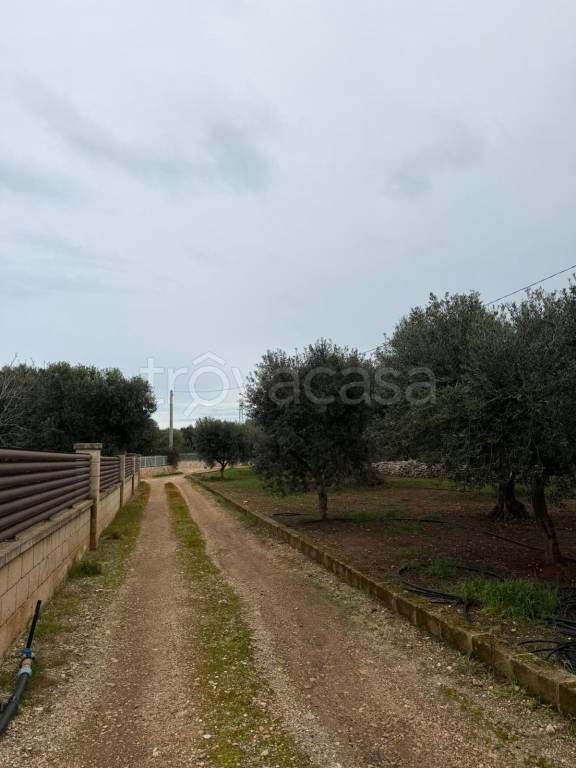 immagine annuncio 5 di 12