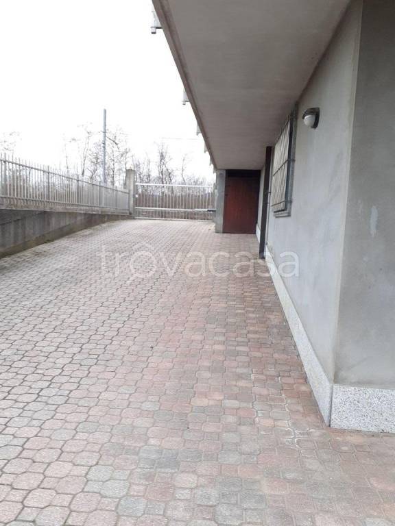 immagine annuncio 12 di 14