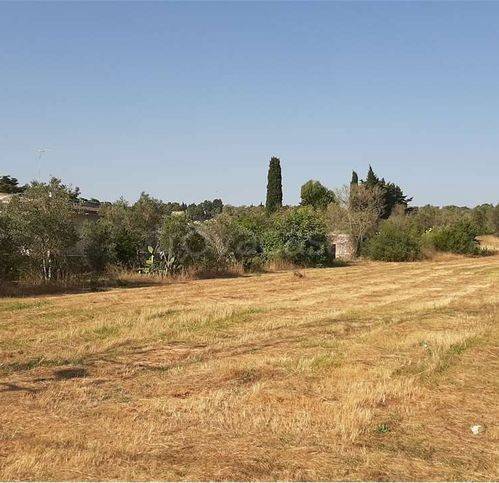 immagine annuncio 2 di 6